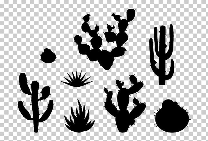 Succulent Plant Sticker