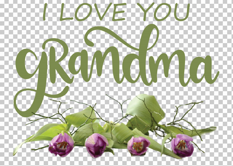 Grandmothers Day Grandma PNG, Clipart, Biology, Cut Flowers, Floral Design, Flower, Grandma Free PNG Download