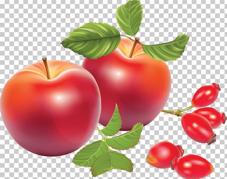 Portable Network Graphics Rose Hip Apple Graphics PNG, Clipart, Acer, Acerola Family, Apple, Berry, Bush Tomato Free PNG Download