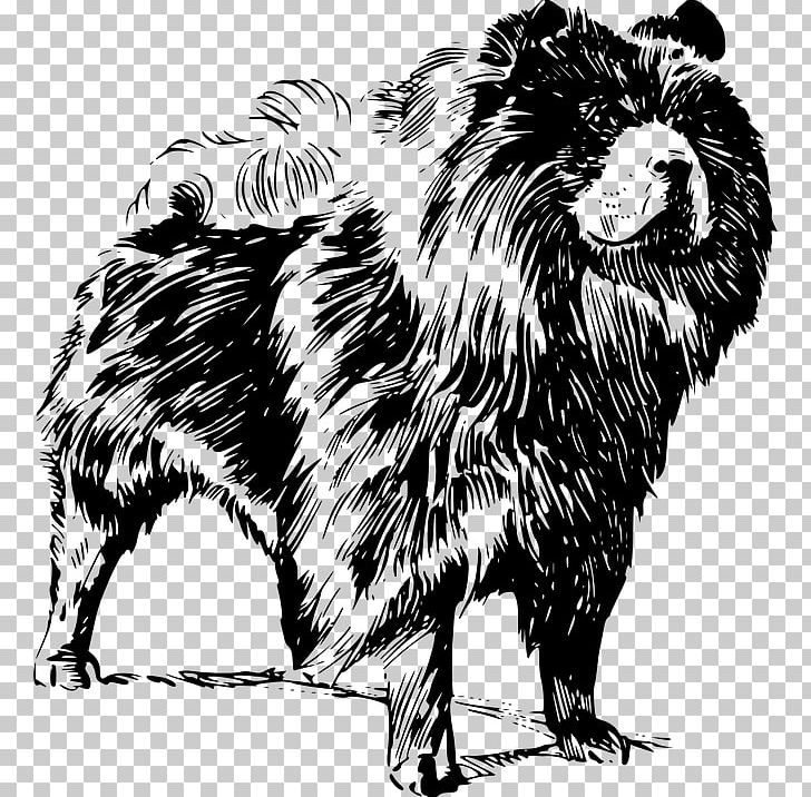 Chow Chow Puppy Golden Retriever PNG, Clipart, Animals, Big Cats, Black And White, Breed, Carnivoran Free PNG Download