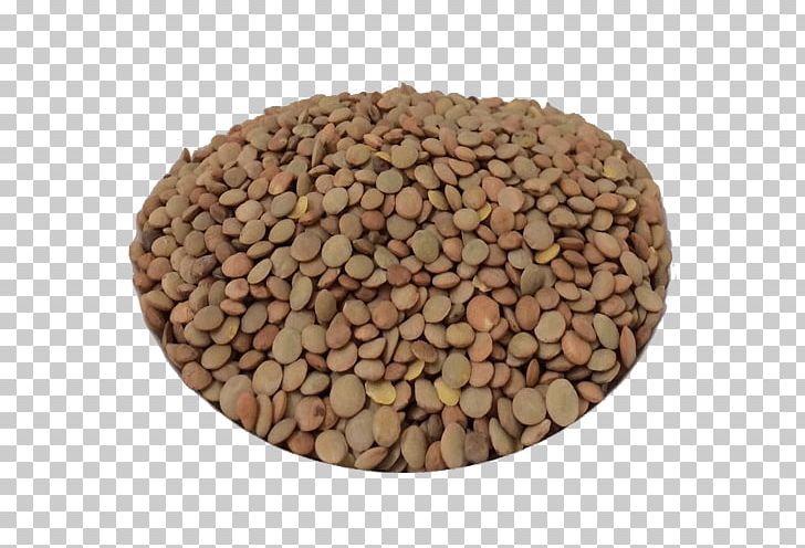 Nut Lentil Seed Commodity PNG, Clipart, Bean, Commodity, Ingredient, Lentil, Nut Free PNG Download