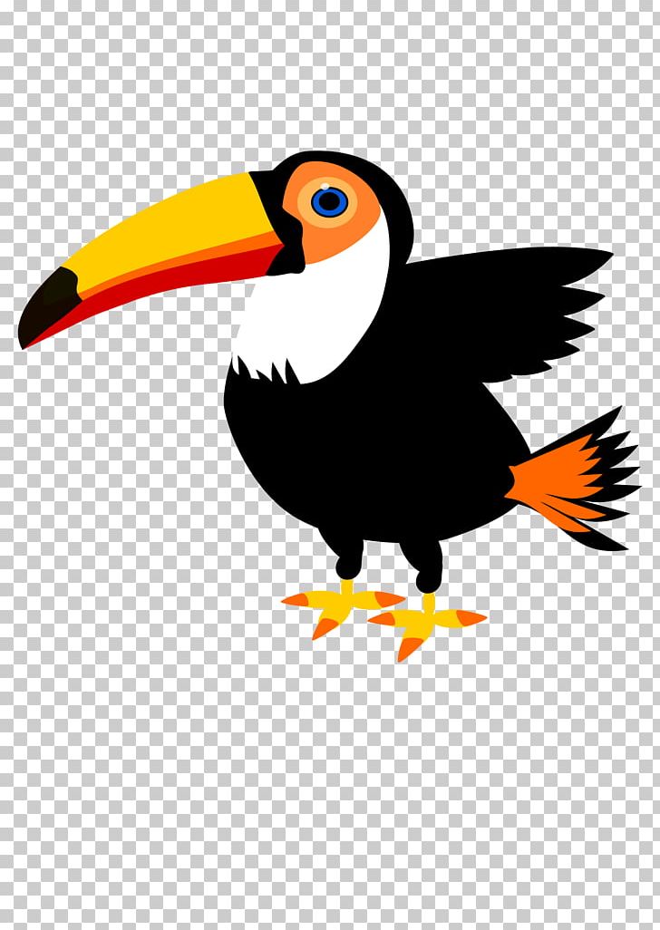 Toucan Bird PNG, Clipart, Animals, Beak, Bird, Drawing, Fauna Free PNG Download