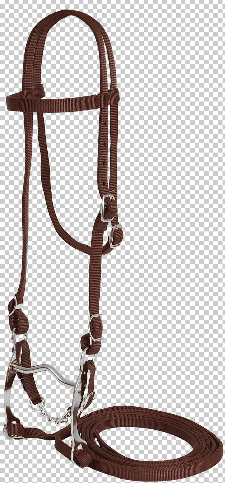 Bitless Bridle Horse Tack Rein PNG, Clipart, Animals, Bit, Bitless Bridle, Bridle, Collar Free PNG Download