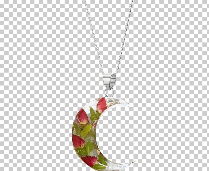 Locket Jewellery Necklace Silver Charms & Pendants PNG, Clipart, Body Jewellery, Body Jewelry, Charms Pendants, Fashion Accessory, Flower Free PNG Download