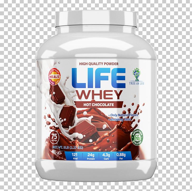 Milkshake Protein Bodybuilding Supplement Whey Casein PNG, Clipart, 5 Lb, Artikel, Bodybuilding Supplement, Branchedchain Amino Acid, Casein Free PNG Download