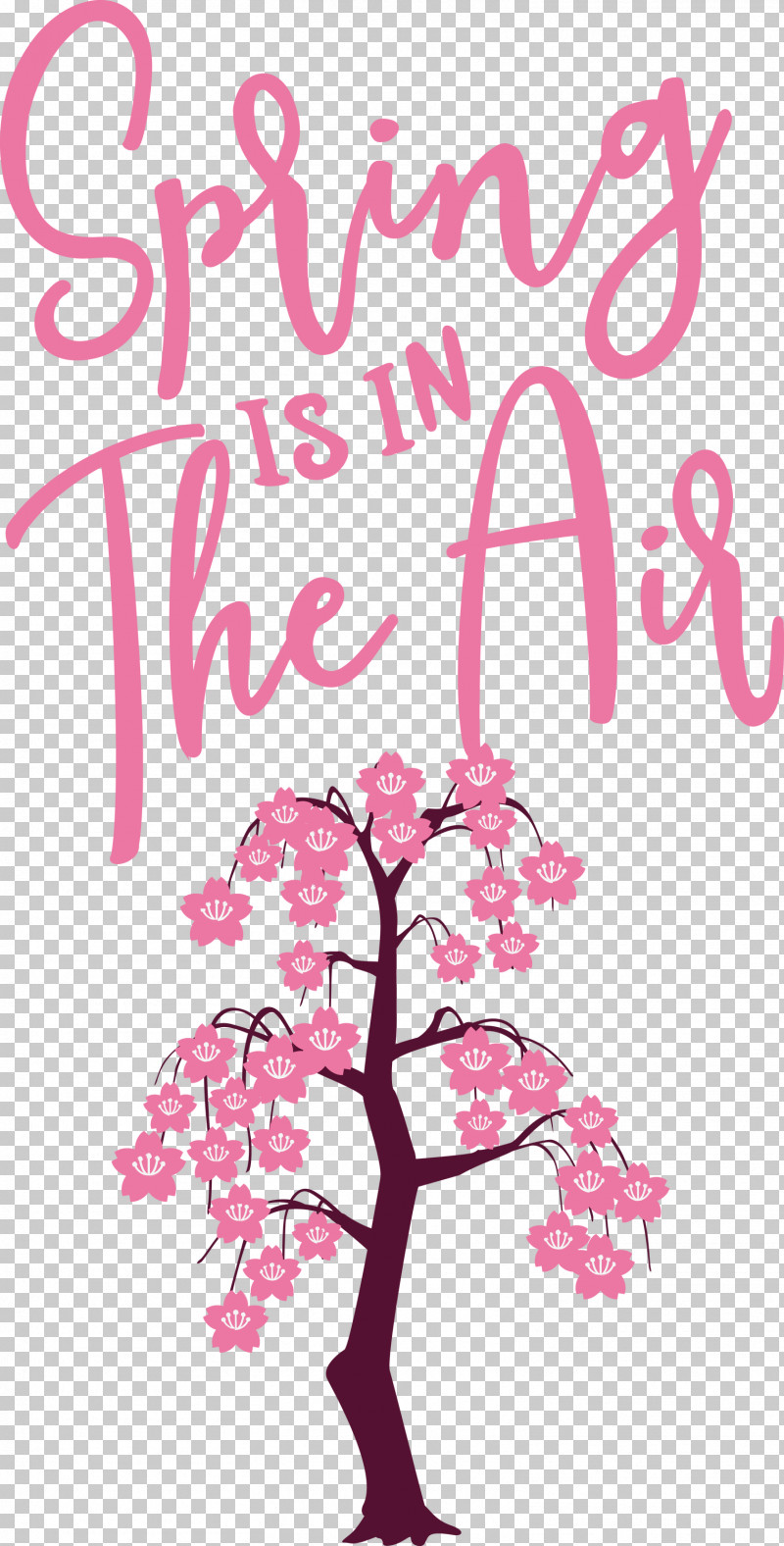 Spring Spring Is In The Air PNG, Clipart, Biology, Flower, Line, Meter, Petal Free PNG Download