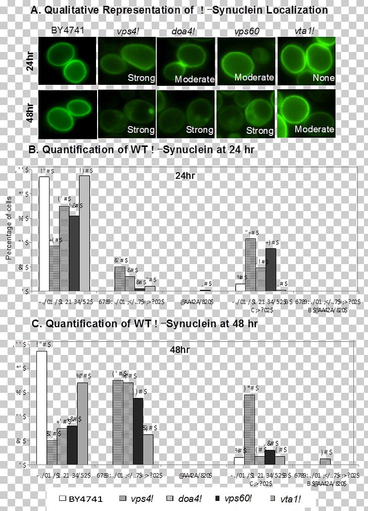 Alpha-synuclein Green Fluorescent Protein Proteopathy Parkinson's Disease PNG, Clipart,  Free PNG Download