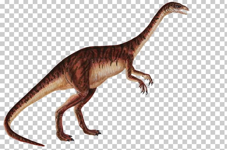Anchisaurus Gyposaurus Dilophosaurus Plateosaurus Sauropoda PNG, Clipart, Ancient, Animal, Cartoon Dinosaur, Cute Dinosaur, Dinosaur Free PNG Download