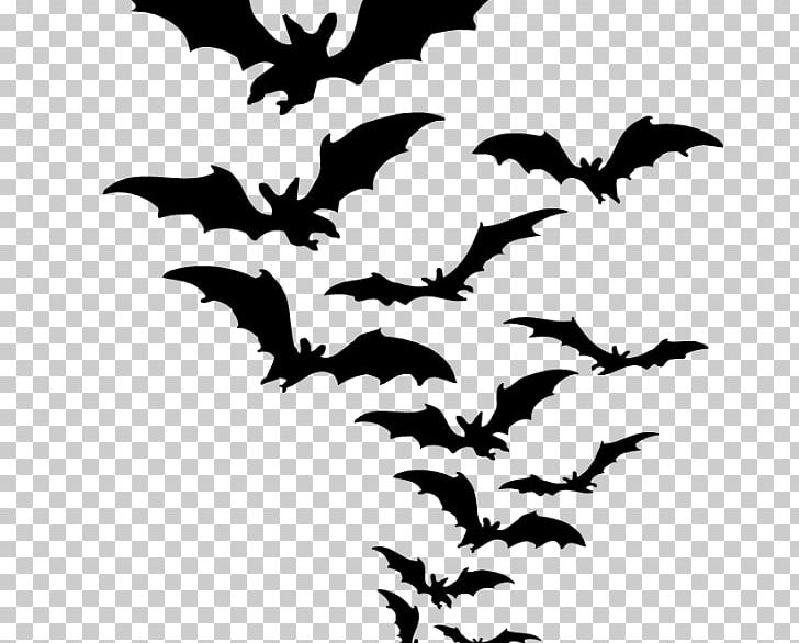 Bat PNG, Clipart, Artwork, Autocad Dxf, Baseball Bats, Bat, Bats Free PNG Download