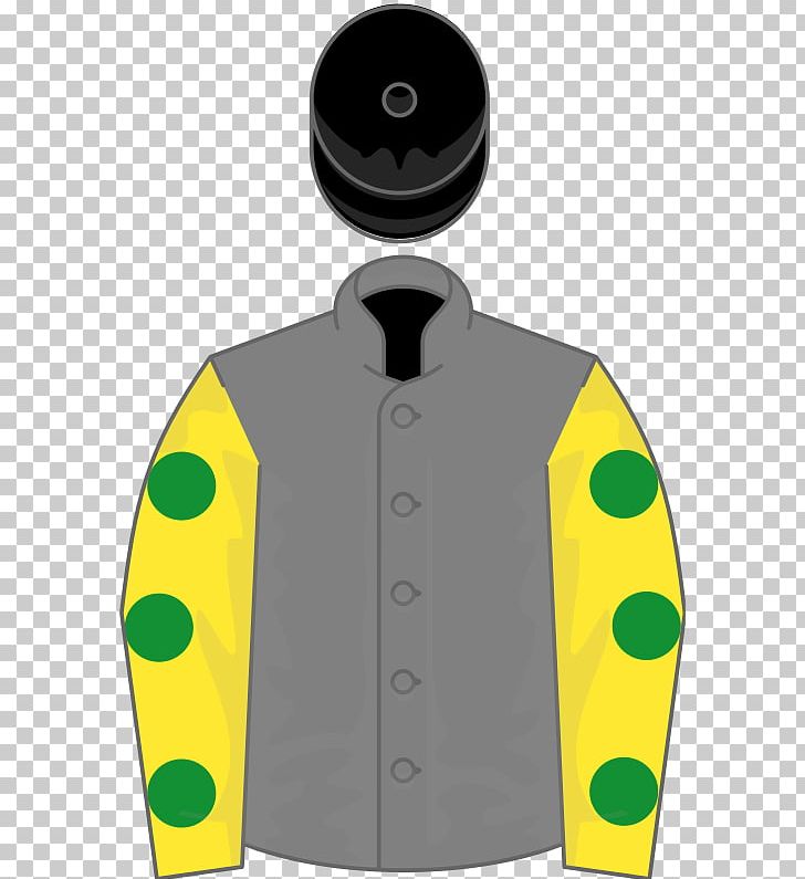 Cheltenham Gold Cup 1991 Grand National Aintree Racecourse 1992 Grand National Horse PNG, Clipart, Aintree Racecourse, Bula, Cheltenham, Cheltenham Gold Cup, Dorothy Paget Free PNG Download