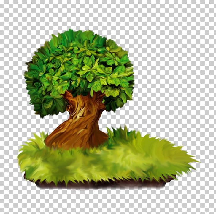 Tree Lindens Plant PNG, Clipart, Christmas, Christmas Tree, Download, Flowerpot, Grass Free PNG Download
