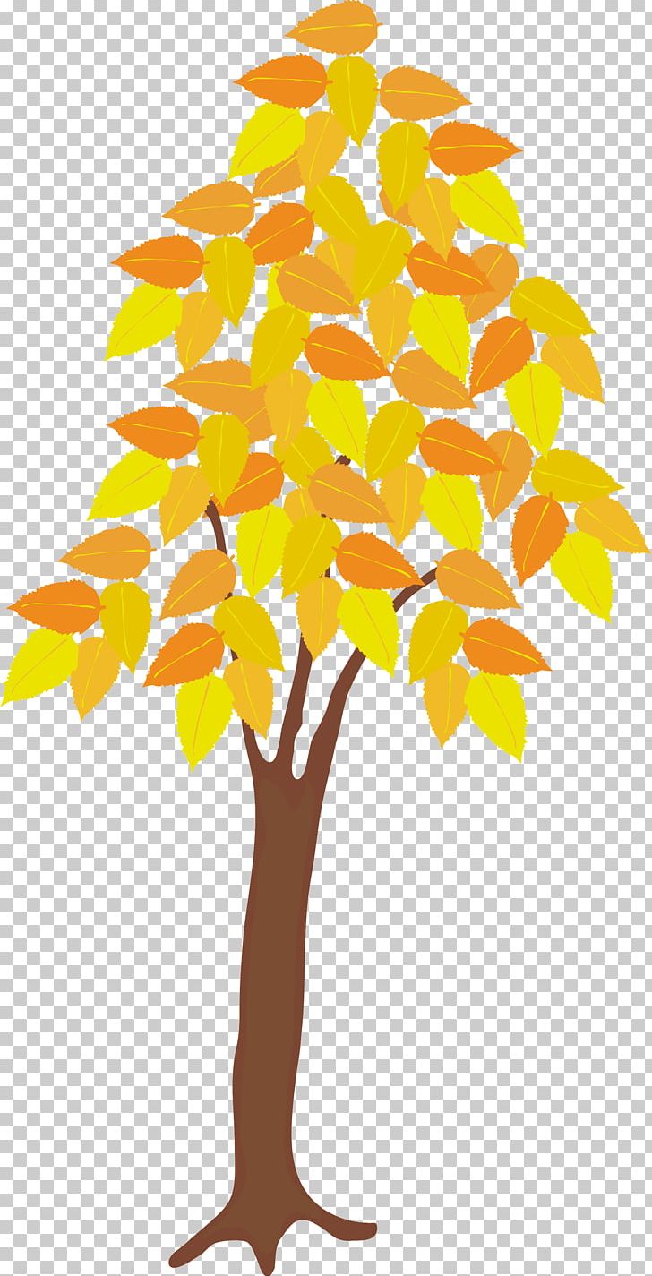 Tree Plant PNG, Clipart, Autumn, Branch, Christmas Tree, Download, Flowering Plant Free PNG Download