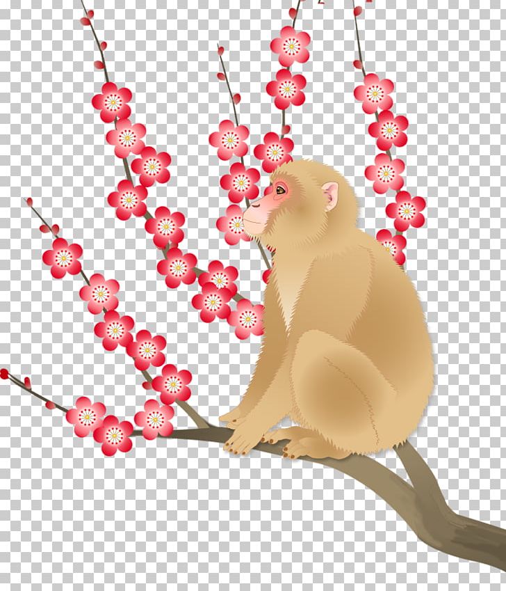 Cat Heart Illustration PNG, Clipart, Animal, Animals, Art, Black Monkey, Branch Free PNG Download