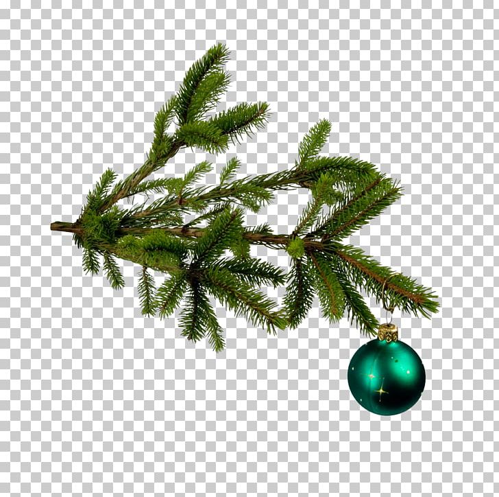 Christmas Tree Christmas Ornament PNG, Clipart, Branch, Christmas, Christmas Border, Christmas Decoration, Christmas Frame Free PNG Download