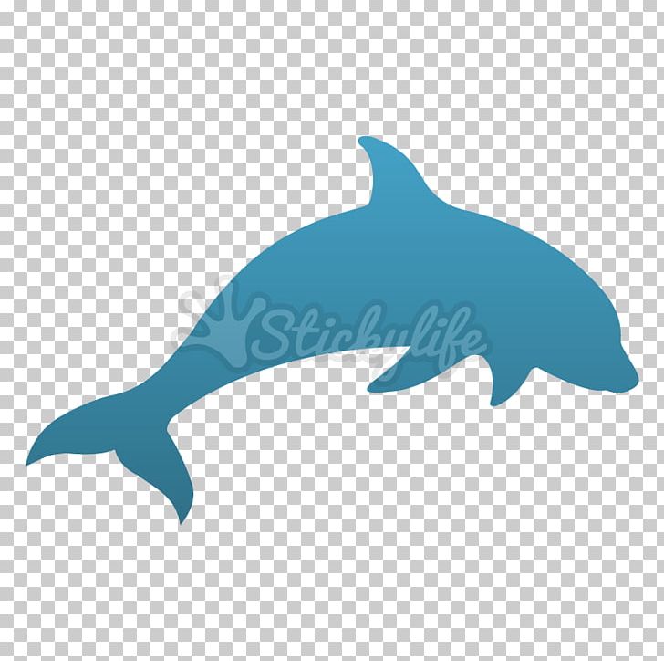 Common Bottlenose Dolphin Tucuxi Rough-toothed Dolphin Marine Biology PNG, Clipart, Animals, Biology, Bottlenose Dolphin, Common Bottlenose Dolphin, Dolphin Free PNG Download