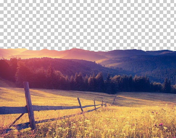 Camera Android Mobile App Selfie Photography PNG, Clipart, Computer Wallpaper, Farm, Grass, Horizon, Landscape Free PNG Download