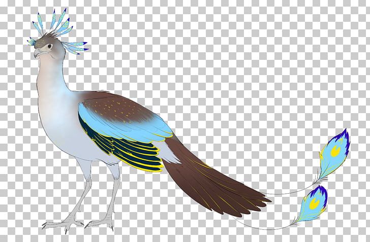 Bird Galliformes Beak Feather Wing PNG, Clipart, Animal, Animals, Beak, Bird, Fauna Free PNG Download