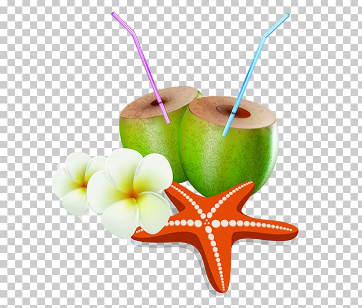 Coconut Milk PNG, Clipart, Animals, Cartoon, Coconut, Coconut Milk, Cup Free PNG Download