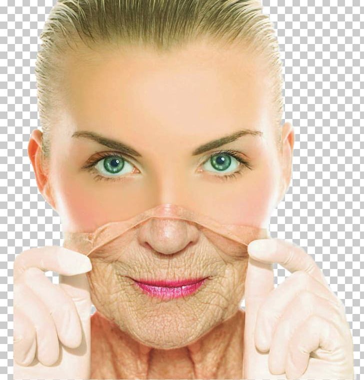 Ageing Anti-aging Cream Wrinkle Life Extension Skin Care PNG, Clipart, Acne, Ageing, Antiaging Cream, Biomarkers Of Aging, Chee Free PNG Download