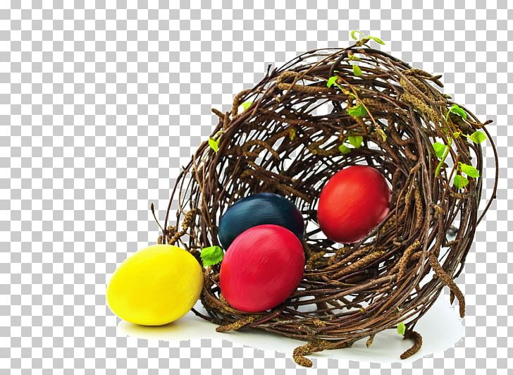 Edible Bird's Nest Egg PNG, Clipart,  Free PNG Download