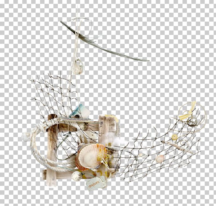 Beach Photography Others PNG, Clipart, Beach, Christmas Ornament, Computer Cluster, Download, Mollusc Shell Free PNG Download