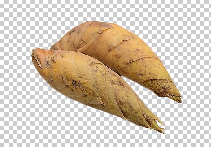 Yan Du Xian Bamboo Shoot Meat Food PNG, Clipart, Bamboo, Bamboo Shoot, Creative Ads, Creative Artwork, Creative Background Free PNG Download