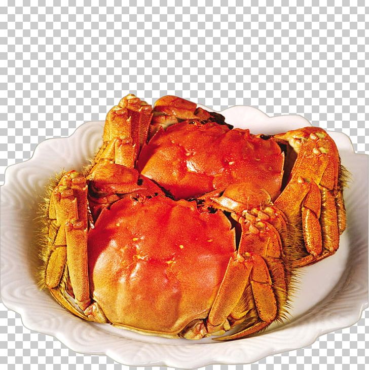Yangcheng Lake Large Crab Chinese Mitten Crab Shanghai Cuisine PNG, Clipart, American Food, Animal Source Foods, Cartoon Crab, China, Crab Free PNG Download