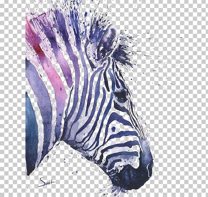 Cape Mountain Zebra Watercolor Painting Art PNG, Clipart, Animal Print, Animals, Graffiti, Hand, Head Free PNG Download