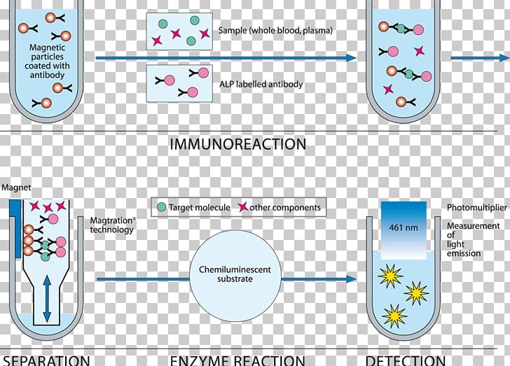 Electrochemiluminescence Light Immunoassay PNG, Clipart, Analyte, Area, Assay, Brand, Chemiluminescence Free PNG Download