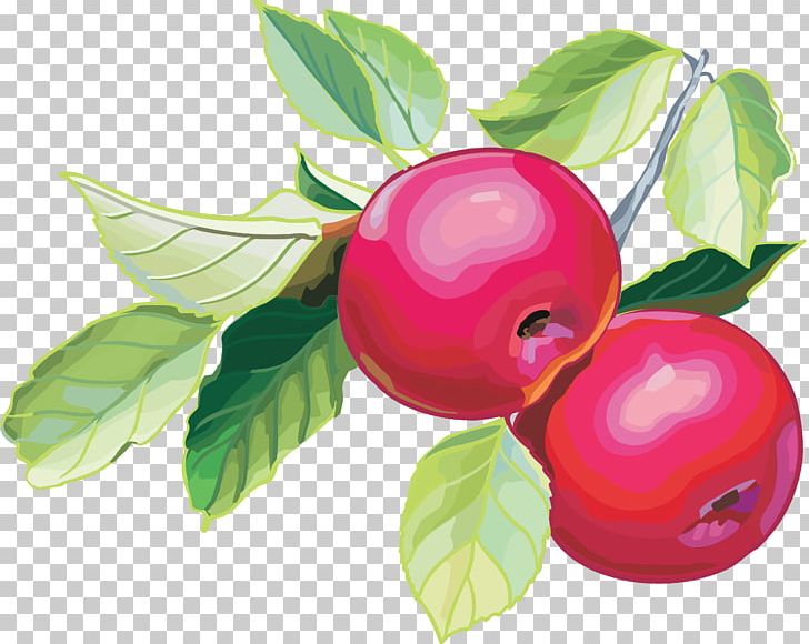 Apple Fruit Pancake Berry Vegetable PNG, Clipart, Apple, Apple Fruit, Apples, Berry, Cherry Free PNG Download