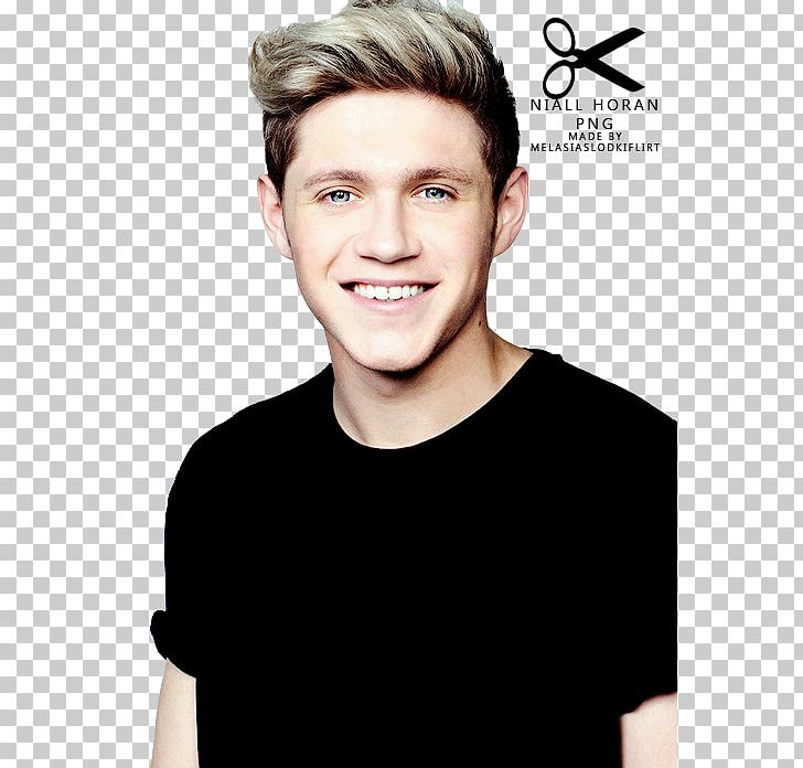 Niall Horan On The Road Again Tour Mullingar One Direction One Way Or Another PNG, Clipart, Brown Hair, Cheek, Eyebrow, Forehead, Hair Coloring Free PNG Download
