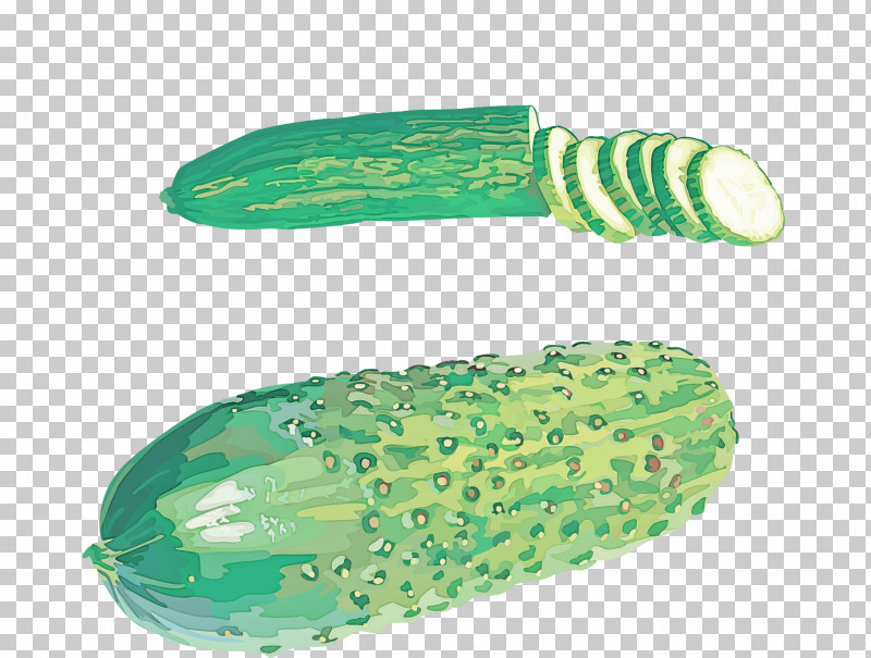 Green Cucumber Vegetable Cucumis Luffa PNG, Clipart, Cucumber, Cucumis, Green, Luffa, Vegetable Free PNG Download