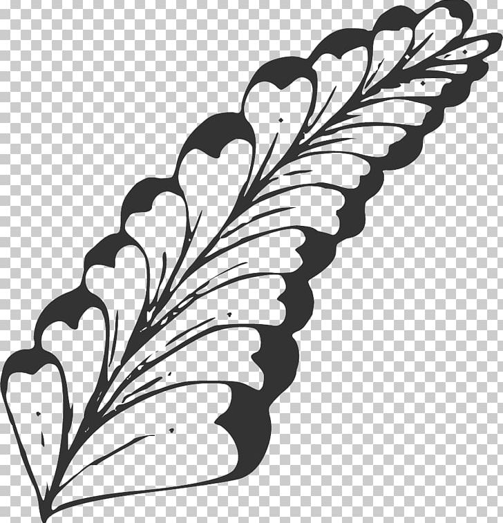 Foliage Line Drawing Drawing. PNG, Clipart, Black And White, Branch, Butterfly, Feather, Flower Free PNG Download