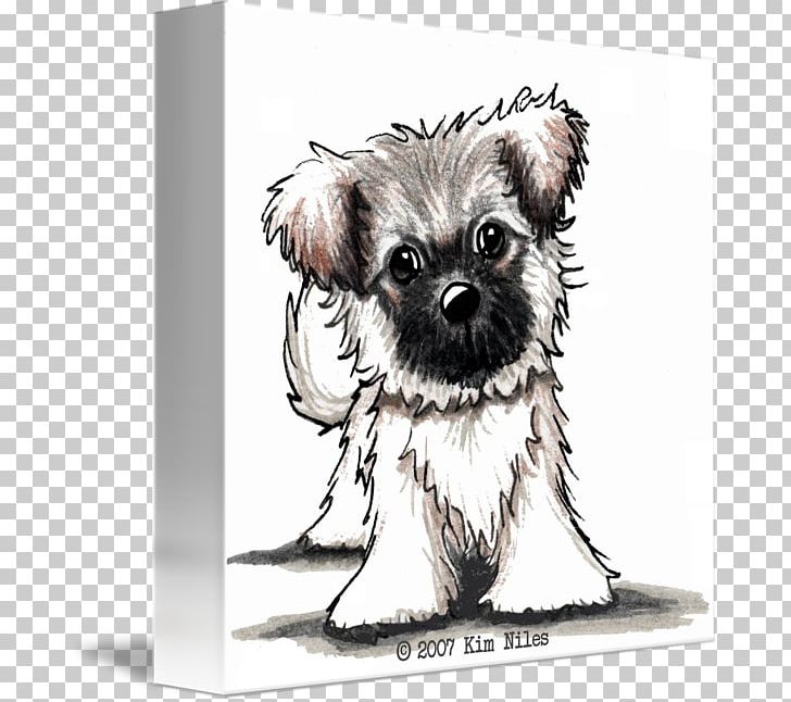 Kind Affenpinscher Schnoodle Shih Tzu Canvas PNG, Clipart, Affenpinscher, Animals, Art, Border Terrier, Cairn Terrier Free PNG Download