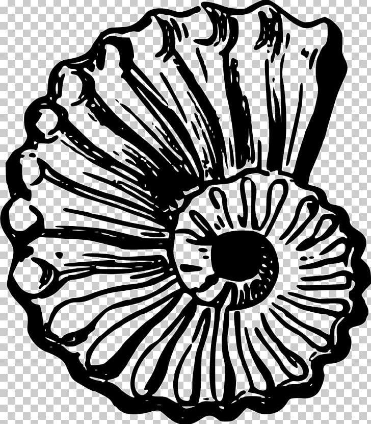 Seashell PNG, Clipart, Animals, Art, Artwork, Black And White, Circle Free PNG Download