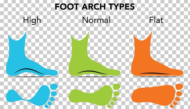 Stock Photography PNG, Clipart, Area, Art, Boox, Brand, Flat Feet Free PNG Download