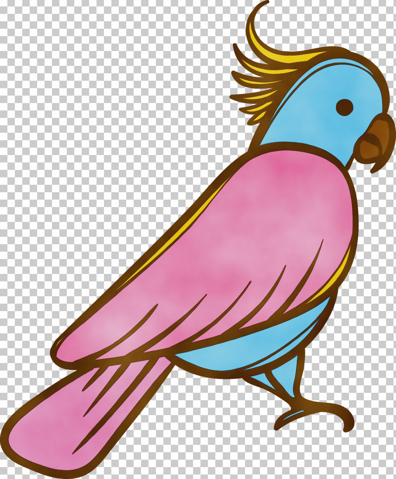 Feather PNG, Clipart, Beak, Cartoon Bird, Cute Bird, Feather, Macaw Free PNG Download