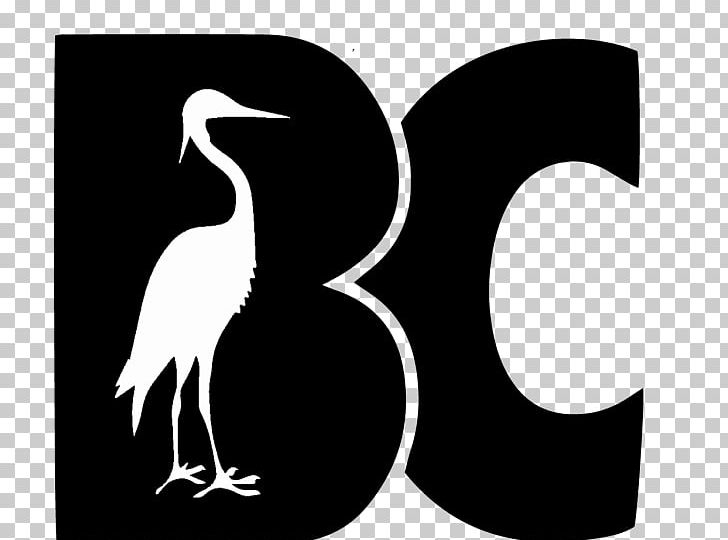 Blue Crane Bird Hoodie Beak PNG, Clipart, Beak, Bird, Black And White, Blue Crane, Crane Free PNG Download