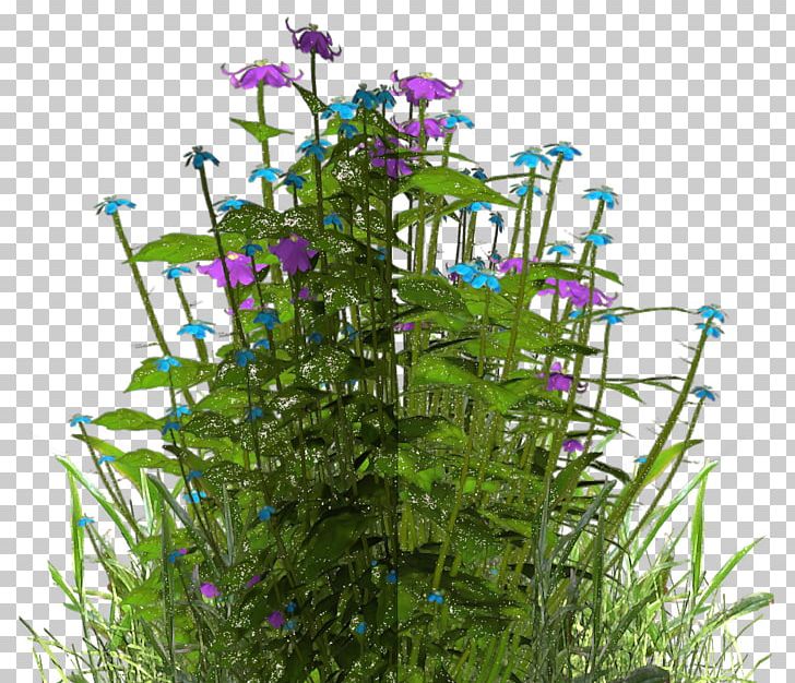 Flower Purple Herb Shrub PNG, Clipart, Atmosphere, Enchanted, Fleur, Flora, Flower Free PNG Download