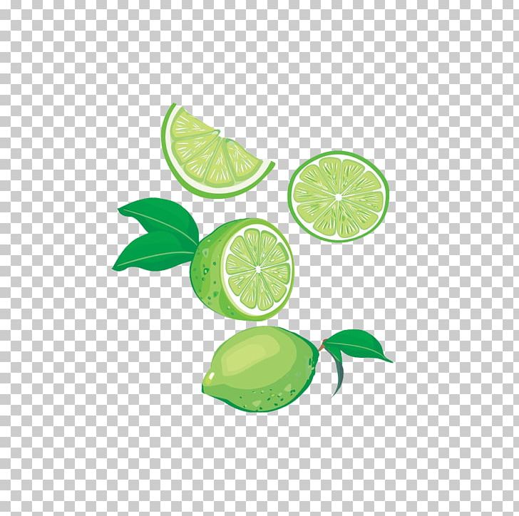 Lemon-lime Drink Juice PNG, Clipart, Circle, Citric Acid, Citrus, Euclidean Vector, Food Free PNG Download