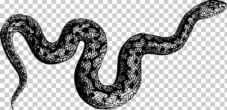 My Pet Snake Sticker T-shirt Reptile PNG, Clipart, Anaconda, Animal Figure, Animals, Black And White, Boa Constrictor Free PNG Download