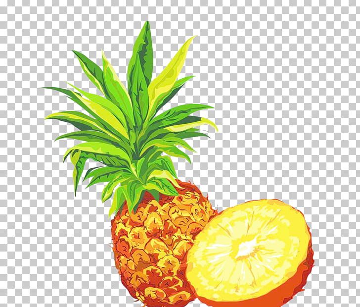 Pineapple Berry Fruit Auglis PNG, Clipart, Auglis, Berry, Bromeliaceae, Food, Fruit Free PNG Download