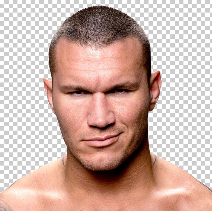 Randy Orton WWE SmackDown WWE Championship Face Professional Wrestling PNG, Clipart, Aggression, Aj Styles, Cheek, Chin, Ear Free PNG Download