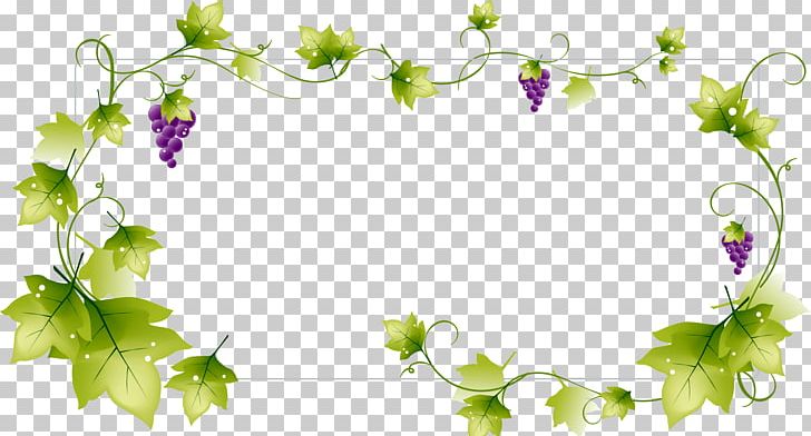 Wine Common Grape Vine Green PNG, Clipart, Branch, Common Grape Vine, Computer Wallpaper, Fall Season, Flora Free PNG Download