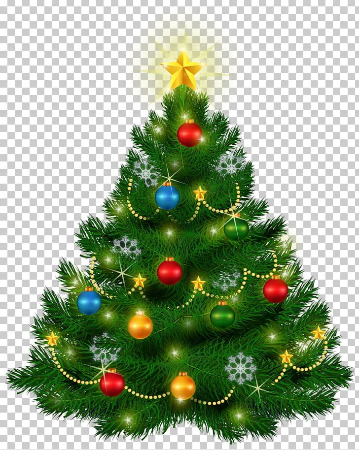 Christmas Tree Christmas Ornament PNG, Clipart, Christmas, Christmas Decoration, Christmas Ornament, Christmas Tree, Conifer Free PNG Download