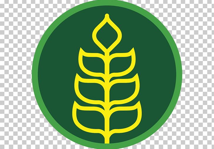 Green Organic Food Logo Tree PNG, Clipart, Circle, Fruit, Grain, Green, Leaf Free PNG Download