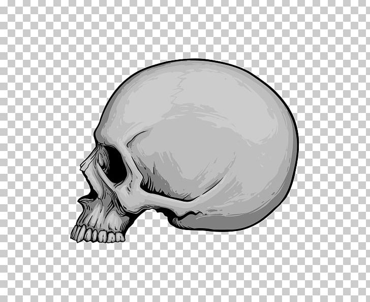 Skull Drawing PNG, Clipart, Anatomy, Bone, Drawing, Face, Fantasy Free PNG Download