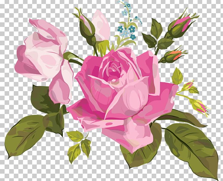 Garden Roses Centifolia Roses Floral Design Floribunda Flower PNG, Clipart, Annual Plant, Beautiful Roses, Centifolia Roses, Cut Flowers, Floral Design Free PNG Download