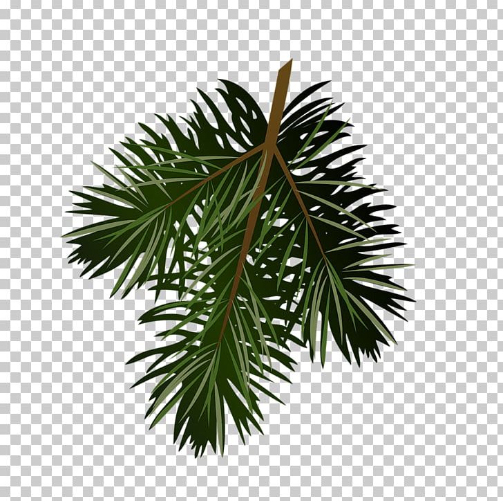 Pine Conifer Cone PNG, Clipart, Arecales, Borassus Flabellifer, Branch, Bun, Christmas Ornament Free PNG Download