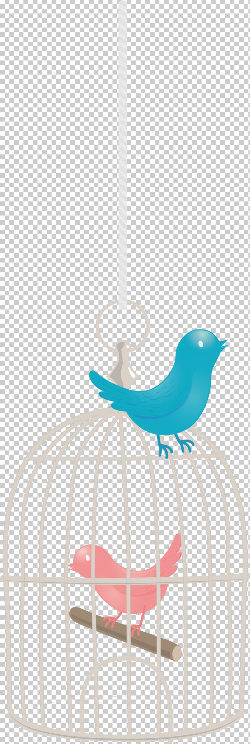 Bird Cage PNG, Clipart, Beak, Bird Cage, Cage Free PNG Download